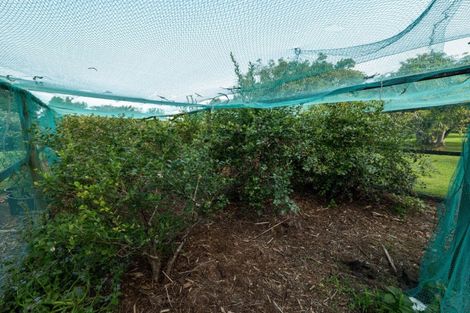 Photo of property in 10a Bridgman Lane, Tanners Point, Katikati, 3177