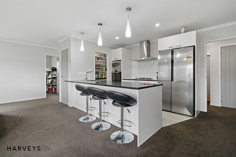 Photo of property in 125 Hillpark Drive, Pokeno, 2402