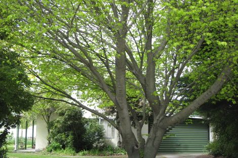 Photo of property in 3 Philip Place, Springlands, Blenheim, 7201