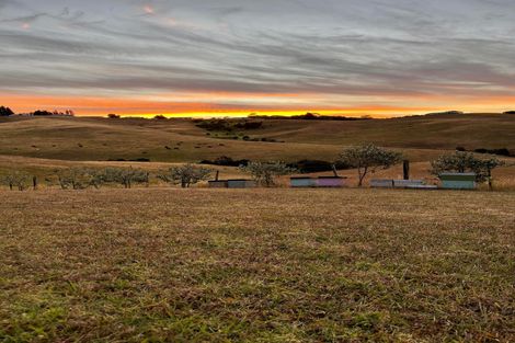 Photo of property in 211c Cable Bay Block Road, Cable Bay, 0420