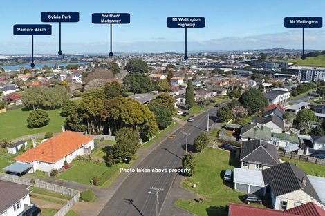 Photo of property in 17 Court Crescent, Panmure, Auckland, 1072