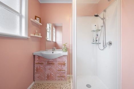 Photo of property in 20 Tweed Street, Roslyn, Palmerston North, 4414