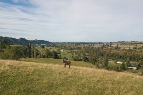 Photo of property in 548 Pleasant Valley Road, Geraldine Downs, Geraldine, 7991