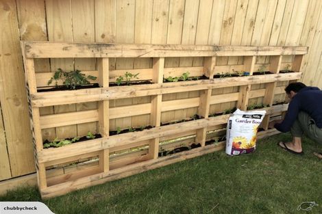 Photo of property in 9/36 Tacy Street, Kilbirnie, Wellington, 6022