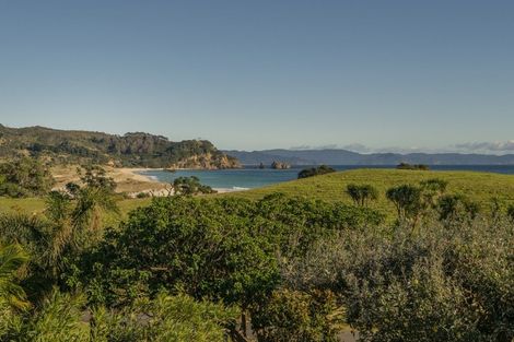 Photo of property in 14 Otama Beach Road, Opito Bay, Whitianga, 3592