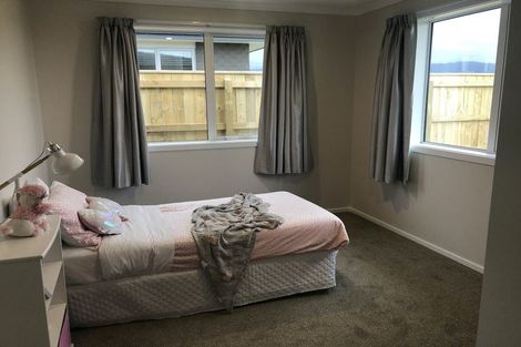 Photo of property in 87 Hinemoa Street, Levin, 5510