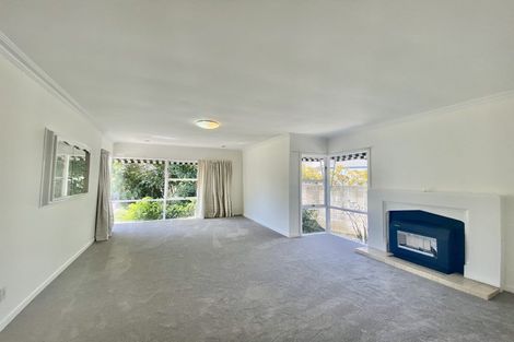 Photo of property in 38 Mcdougall Avenue, St Albans, Christchurch, 8014