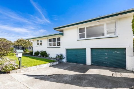 Photo of property in 302 Scott Street, Witherlea, Blenheim, 7201