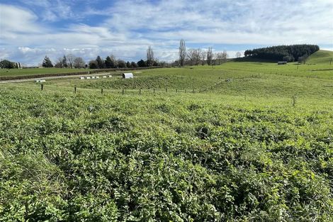 Photo of property in 78 Whawharua Road, Otorohanga, 3975