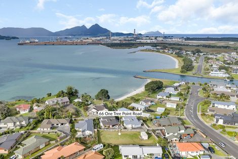 Photo of property in 66 One Tree Point Road, One Tree Point, 0118