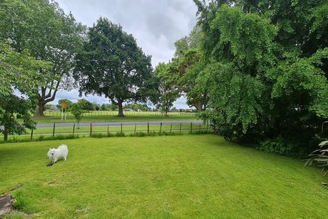 Photo of property in 279 Lamb Street, Leamington, Cambridge, 3432