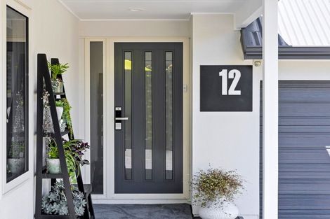 Photo of property in 12 Paine Street, Judea, Tauranga, 3110