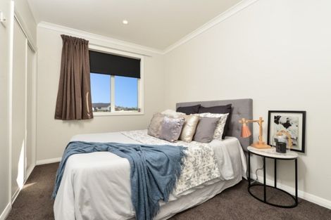 Photo of property in 17 Margot Lane, Matangi, Hamilton, 3283