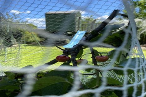 Photo of property in 28 Selwyn Street, Witherlea, Blenheim, 7201