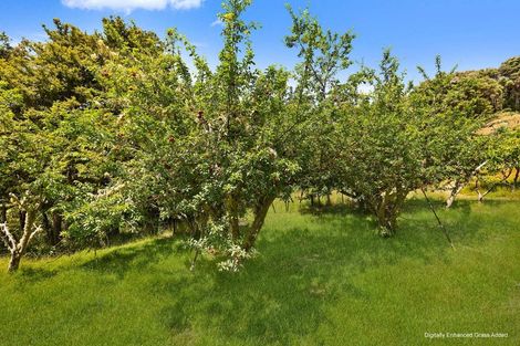 Photo of property in 50 Waitoki Road, Waitoki, Kaukapakapa, 0871