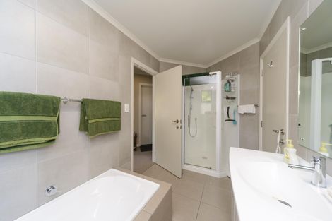 Photo of property in 53a Limbrick Street, Terrace End, Palmerston North, 4410