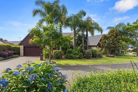 Photo of property in 64 Raukawa Drive, Bethlehem, Tauranga, 3110