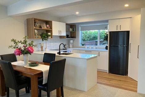 Photo of property in 17b West Avenue, Saint Clair, Dunedin, 9012