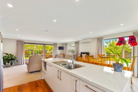 Photo of property in 219 Taylor Pass Road, Witherlea, Blenheim, 7201