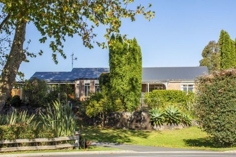 Photo of property in 1/427 Cambridge Road, Tauriko, Tauranga, 3110