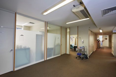 Photo of property in 6 Raroa Road, Kelburn, Wellington, 6012