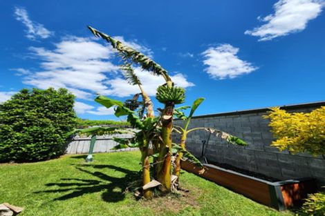 Photo of property in 42a Waimarie Street, Nawton, Hamilton, 3200