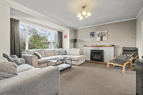 Photo of property in 14 Buick Crescent, Awapuni, Palmerston North, 4412