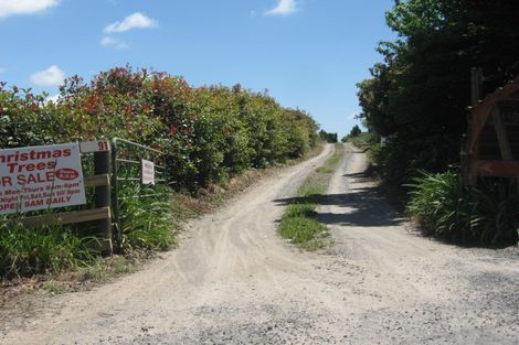 Photo of property in 91 Snodgrass Road, Te Puna, Whakamarama, 3174