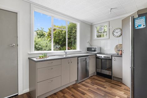 Photo of property in 25 Islington Street, North East Valley, Dunedin, 9010