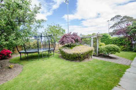 Photo of property in 239 Macandrew Road, Forbury, Dunedin, 9012