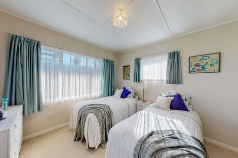 Photo of property in 49 Neal Street, Putaruru, 3411