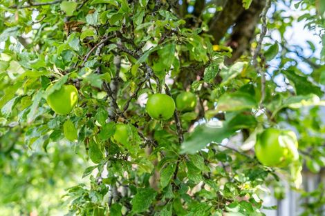 Photo of property in 4 Davis Crescent, Elderslea, Upper Hutt, 5018