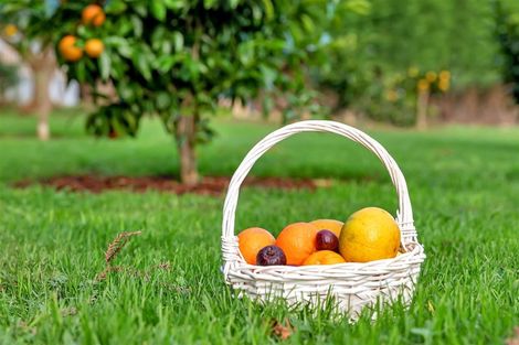 Photo of property in 21 Corsair Drive, Maungatapere, Whangarei, 0179