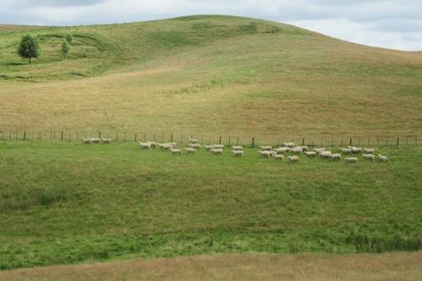 Photo of property in 359 Mangatarata Road, Waipukurau, 4285