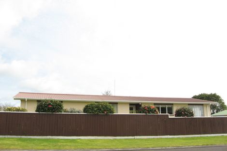 Photo of property in 20 Nikau Street, Inglewood, 4330