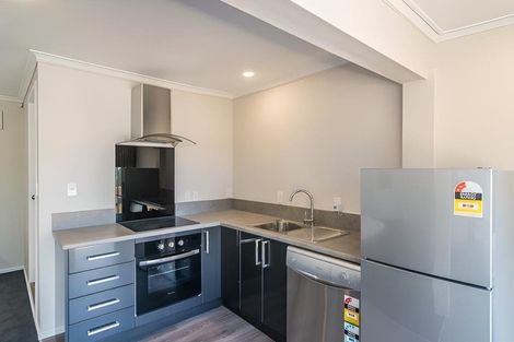 Photo of property in 1/219 The Terrace, Wellington Central, Wellington, 6011