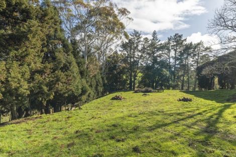 Photo of property in 177 Wright Road, Aongatete, Katikati, 3181