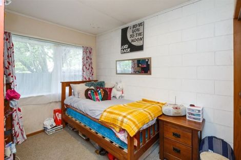 Photo of property in 35 Mcgiffert Street, Palmerston North, 4410
