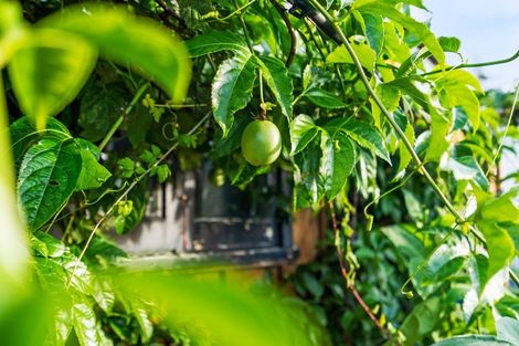 Photo of property in 1a Meadow Park Crescent, Tikipunga, Whangarei, 0112