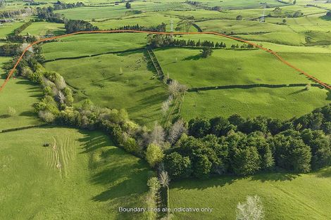 Photo of property in 290 Ostrich Road, Patumahoe, Pukekohe, 2679