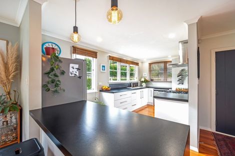 Photo of property in 47 Alfred Street, Roslyn, Palmerston North, 4414