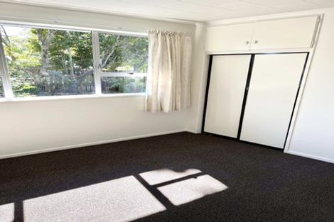 Photo of property in 16 Argosy Place, Blenheim, 7201