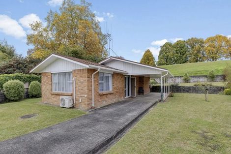 Photo of property in 7 Jonathan Place, Putaruru, 3411