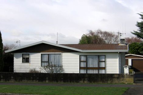 Photo of property in 33 Totara Road, Awapuni, Palmerston North, 4412