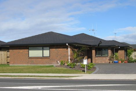 Photo of property in 47 Thomas Road, Huntington, Hamilton, 3210