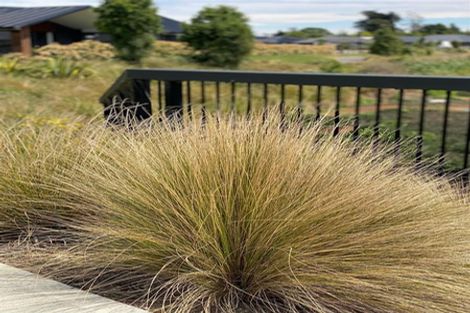 Photo of property in 19 Crossley Avenue, Woodend, 7610