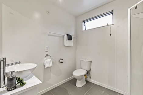 Photo of property in 101a Te Kawa Road, Greenlane, Auckland, 1061