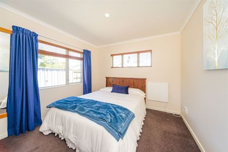 Photo of property in 207 Salisbury Street, Ashhurst, 4810