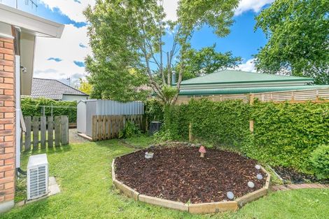 Photo of property in 11 Pascal Place, Flagstaff, Hamilton, 3210