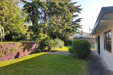 Photo of property in 24 Jonathon Street, Brookfield, Tauranga, 3110